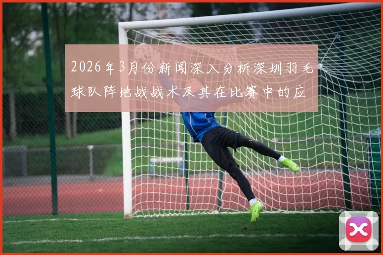 2026年3月份新闻深入分析深圳羽毛球队阵地战战术及其在比赛中的应用策略